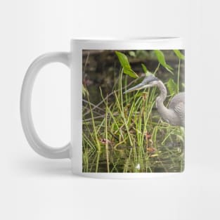 A Great Blue Heron fishing - Mud Lake, Ottawa, Canada Mug